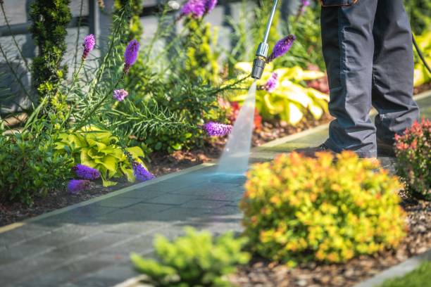 Best Boat and Dock Cleaning  in Berlin, WI